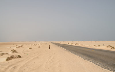 image_ws01